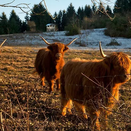 Fernblick - #60770 Matzerath